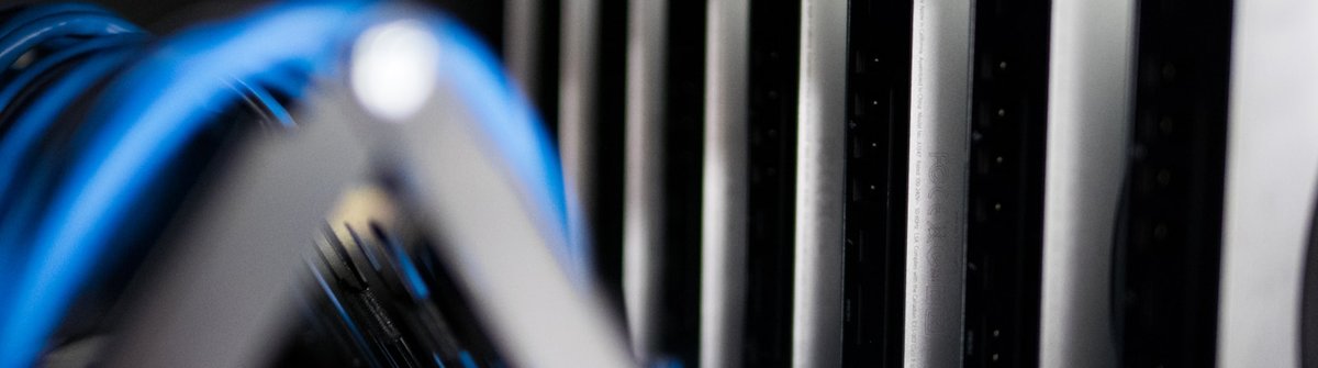 Close-up of blue network cables connected to the back of a server
